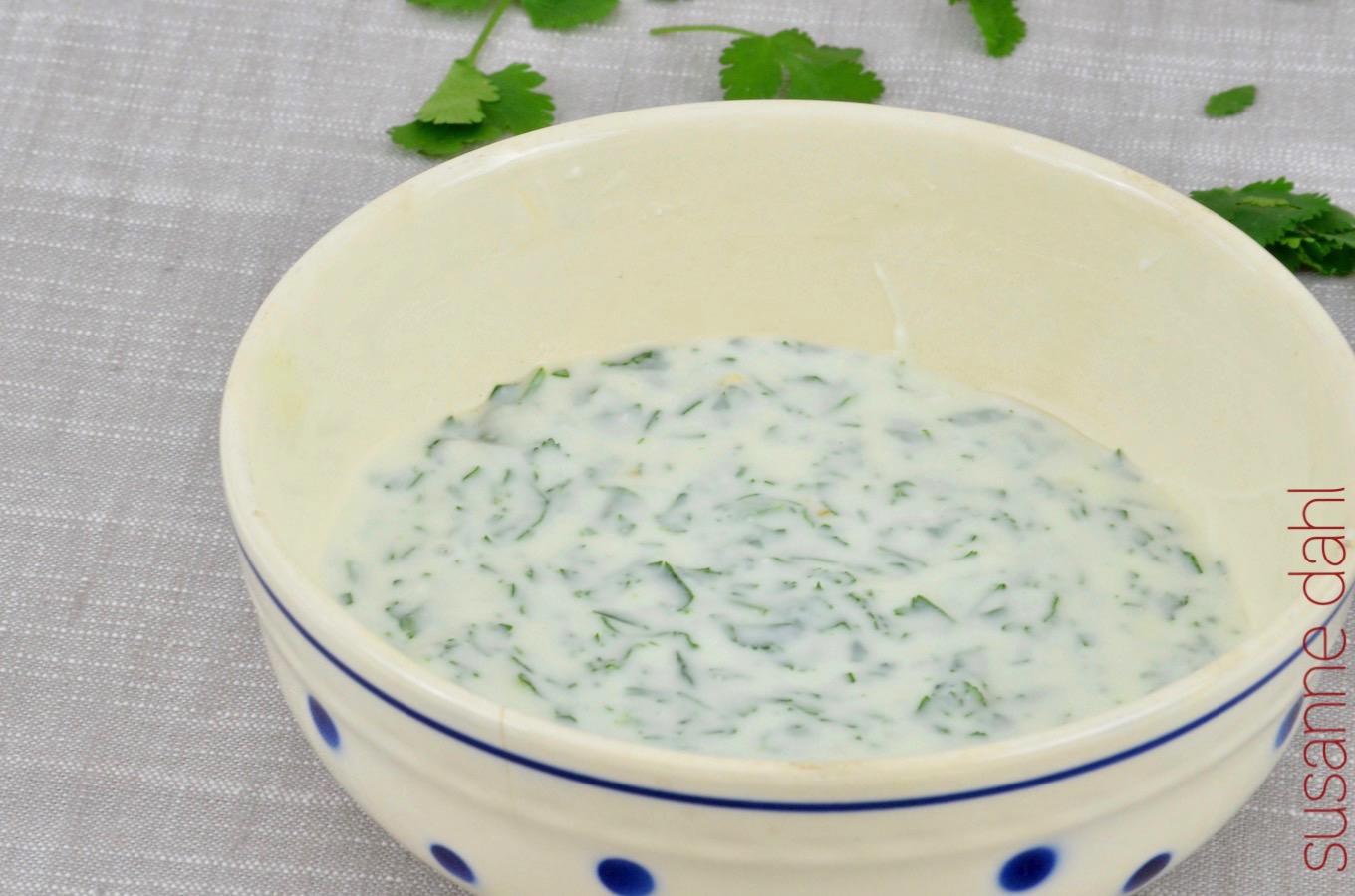 Joghurtsauce mit Koriander