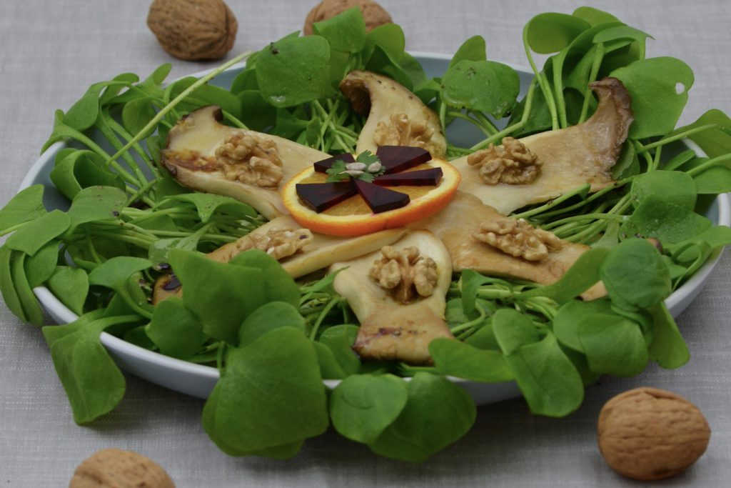 Postelein_Salat_2
